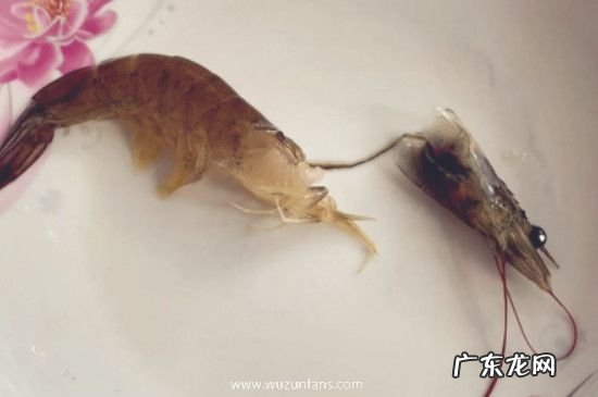 鸡尾虾线怎么弄