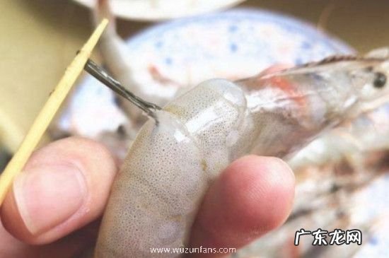 鸡尾虾线怎么弄