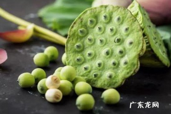 新鲜莲子冷冻半年还能吃吗