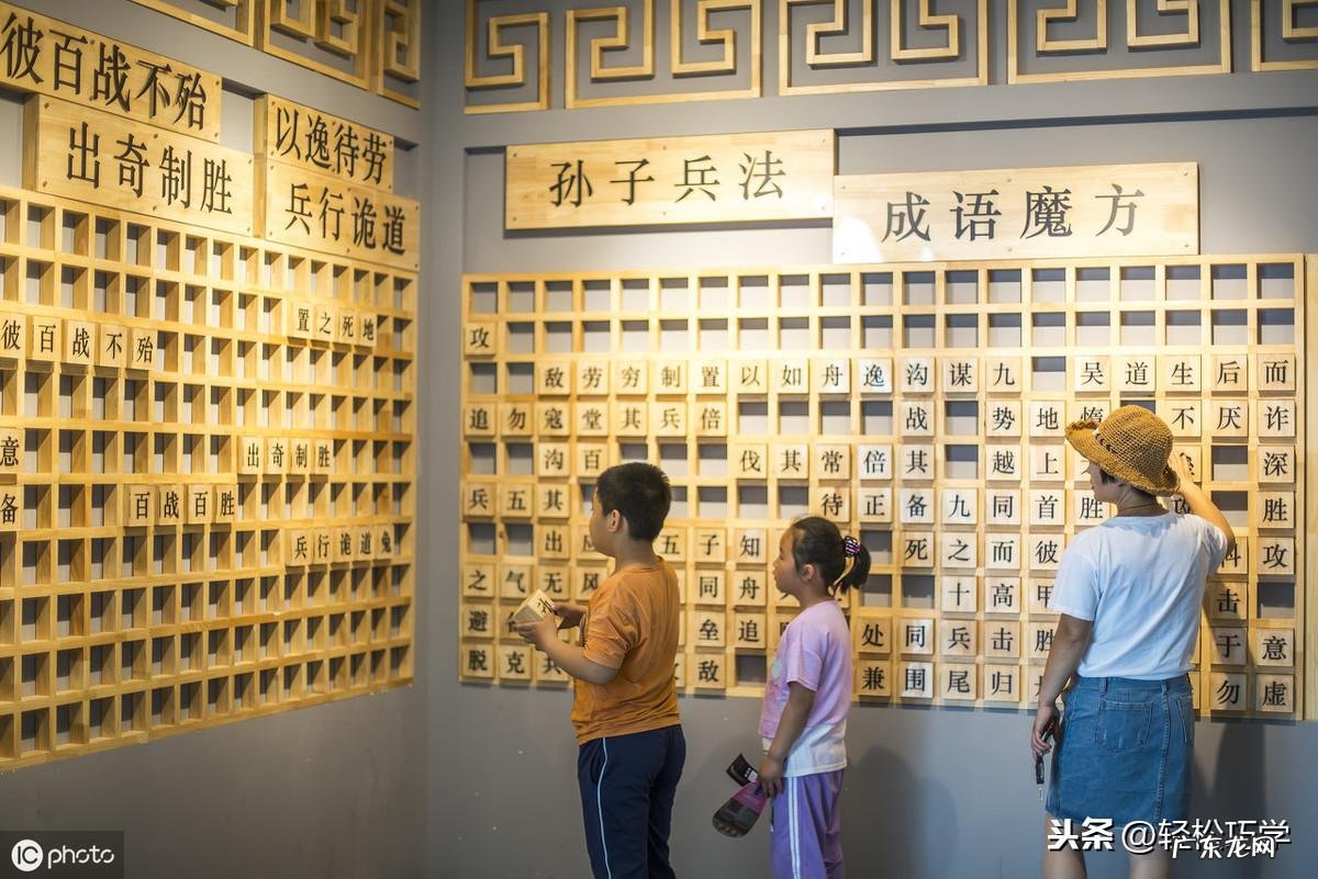 七零八落打一生肖谜底 七零八落打一个生肖