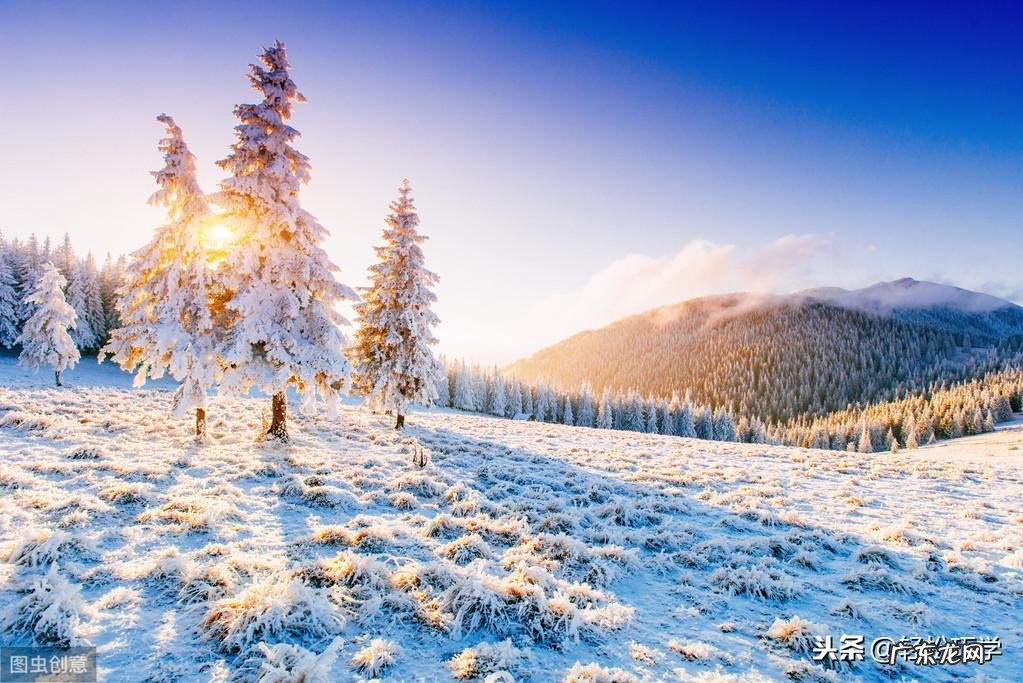 七零八落打一生肖谜底 七零八落打一个生肖