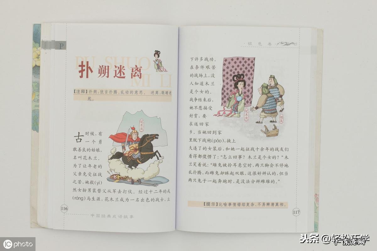 七零八落打一生肖谜底 七零八落打一个生肖