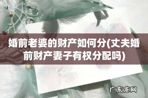 丈夫婚前财产妻子有权分配吗 婚前老婆的财产如何分