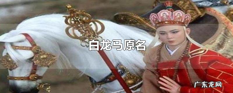 白龙马原名