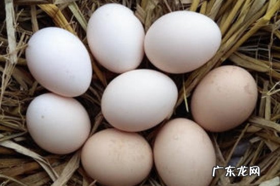 鸡蛋里面蛋黄散了还能吃吗