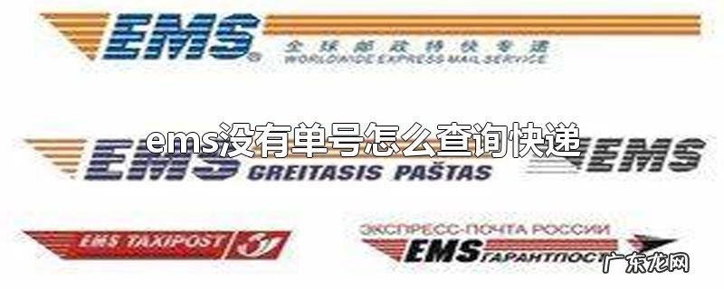 ems没有单号怎么查询快递