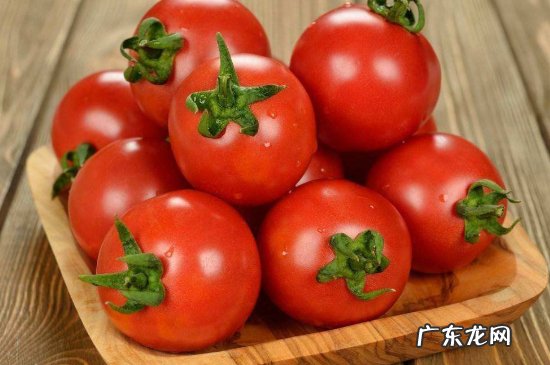 山芋不能和什么食物一起吃吗