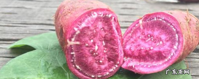 山芋不能和什么食物一起吃吗