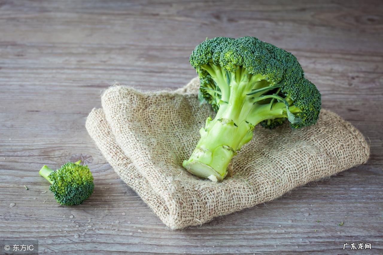 今天送您一朵特别的小花花!