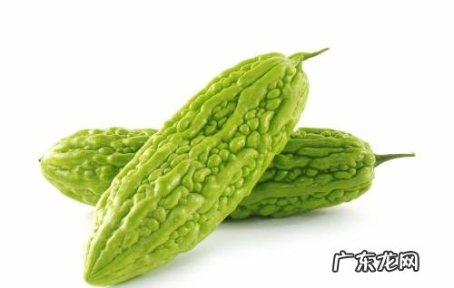 来自苦瓜的真情告白