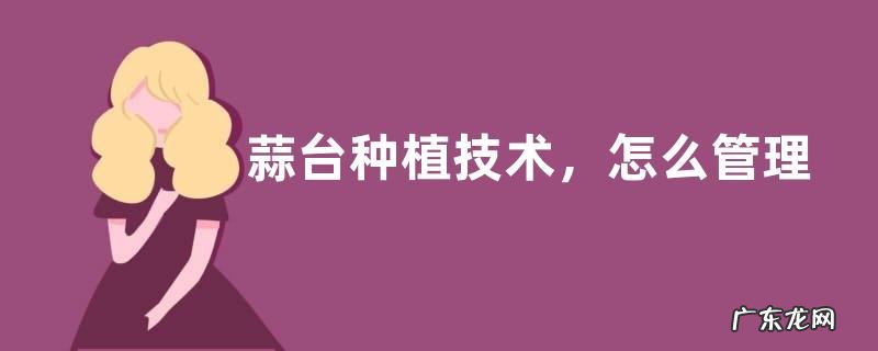 蒜台种植技术,怎么管理