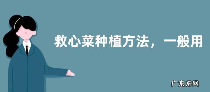 救心菜种植方法,一般用扦插繁殖方法