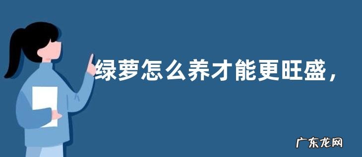 绿萝怎么养才能更旺盛,养护时怎么浇水