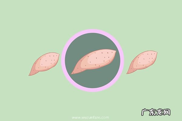 烤红薯烤箱温度和时间