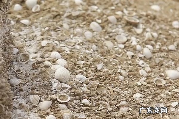 柴达木盆地位于哪个高原