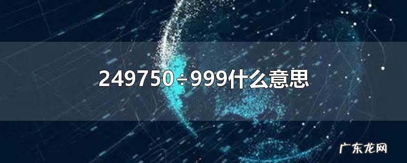 249750÷999什么意思