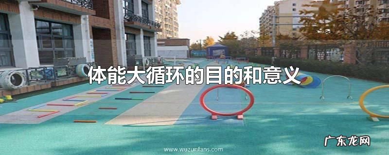 体能大循环的目的和意义