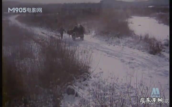 喜盈门电视剧全集观看 喜盈门电视剧情