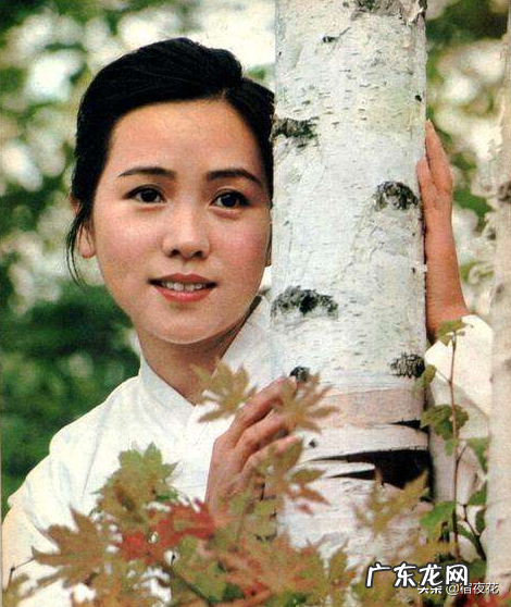 喜盈门电视剧全集观看 喜盈门电视剧情