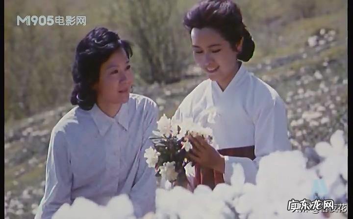 喜盈门电视剧全集观看 喜盈门电视剧情