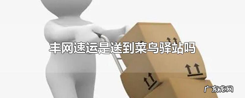丰网速运是送到菜鸟驿站吗