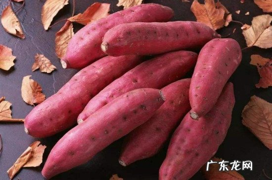 红薯和牛奶可以一起吃吗?