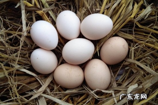 鸡蛋在冰箱里放了三个月还能吃吗