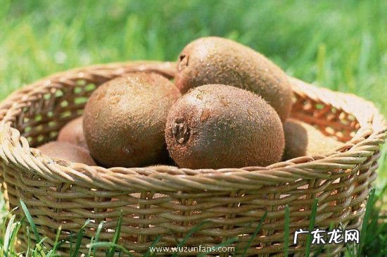 猕猴桃能放冰箱冷藏吗