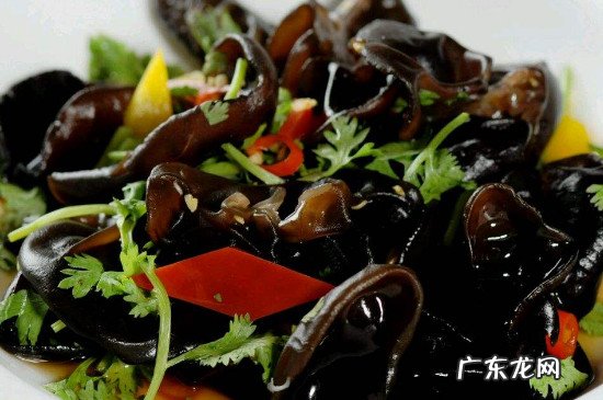 木耳煮熟了放冰箱冷冻还能吃吗?