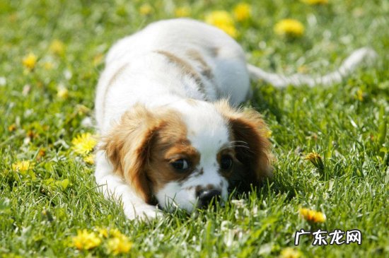 发胶可以带上地铁吗