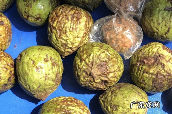 带皮核桃怎么去皮快