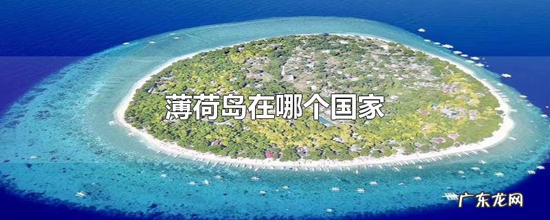 薄荷岛在哪个国家