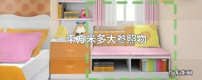 一平方米多大参照物