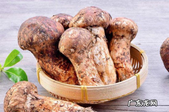 松茸能放冰箱冷冻保存吗