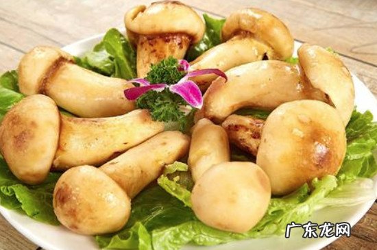 松茸能放冰箱冷冻保存吗