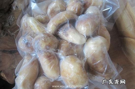 松茸放冰箱冷冻可以放多久