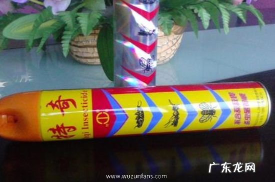 蚊香可以杀死跳蚤吗