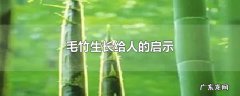 毛竹生长给人的启示