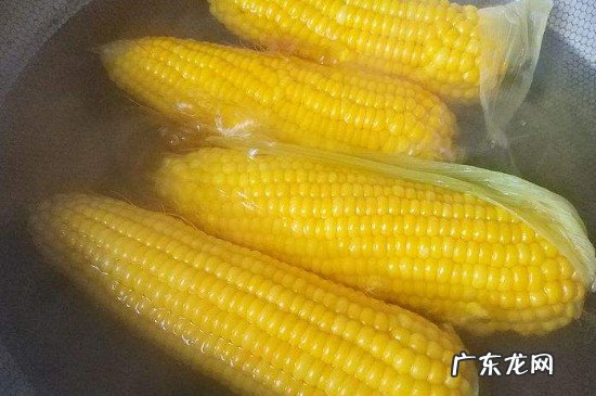 煮熟玉米放冰箱第二天能吃吗