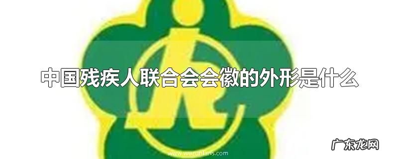 中国残疾人联合会会徽的外形是什么