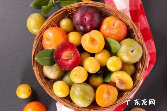 鸡蛋和李子一起吃行吗