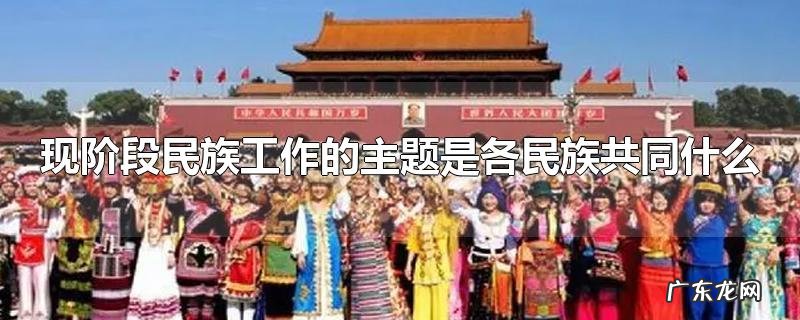 现阶段民族工作的主题是各民族共同什么