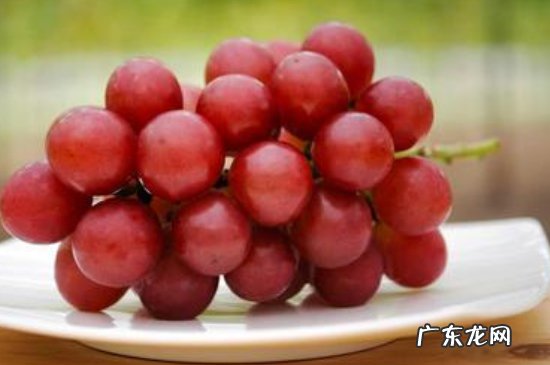 葡萄洗了可以放到第二天吗