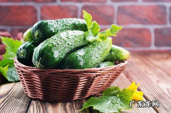 牛奶和黄瓜可以一起吃吗