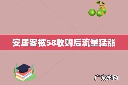 安居客被58收购后流量猛涨
