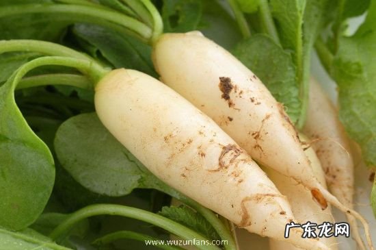 萝卜心里面发蓝发黑能吃吗