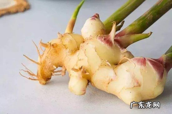 生姜出芽还可以吃么