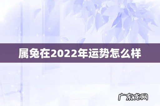 属兔在2022年运势怎么样