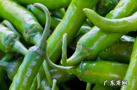 青椒包饺子用焯水吗