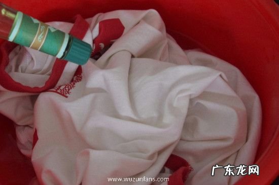 芒果水滴在衣服上怎么洗